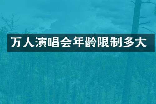 万人演唱会年龄限制多大