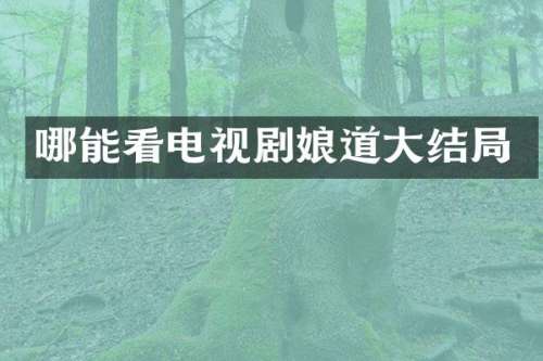 哪能看电视剧大结局