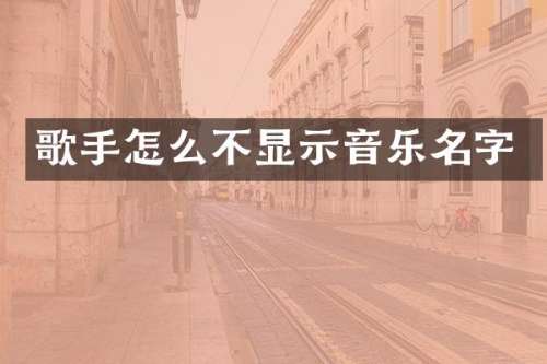 歌手怎么不显示音乐名字