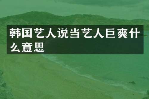 韩国艺人说当艺人巨爽什么意思