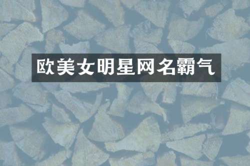 欧明星网名霸气