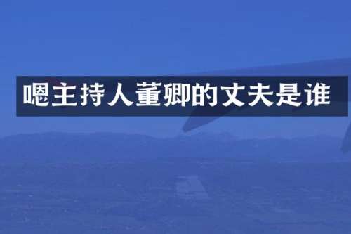 嗯主持人董卿的丈夫是谁