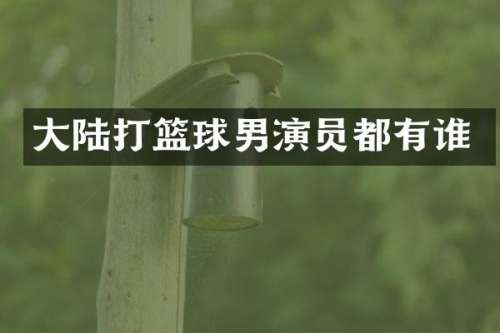 大陆打篮球男演员都有谁