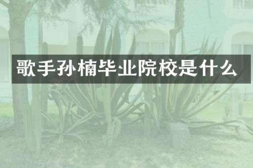 歌手孙楠毕业院校是什么