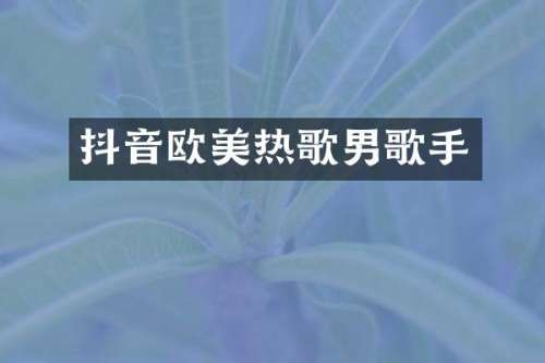 抖音欧美热歌男歌手