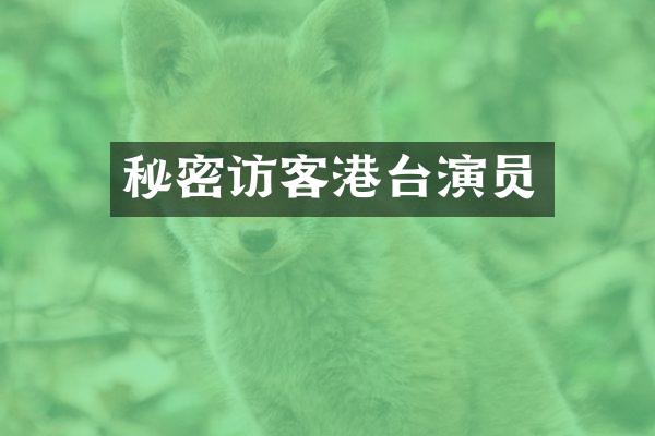 秘密访客港台演员