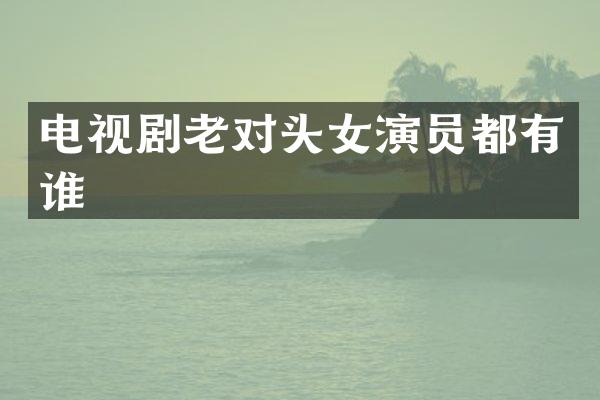电视剧老对头女演员都有谁