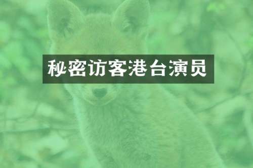 秘密访客港台演员