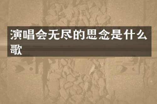演唱会无尽的思念是什么歌