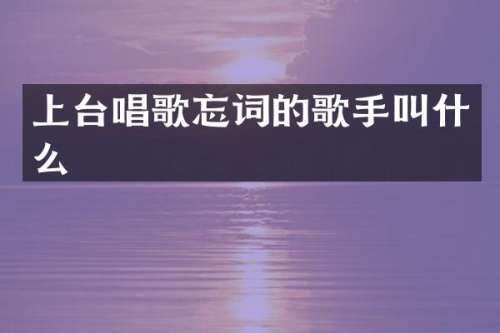 上台唱歌忘词的歌手叫什么