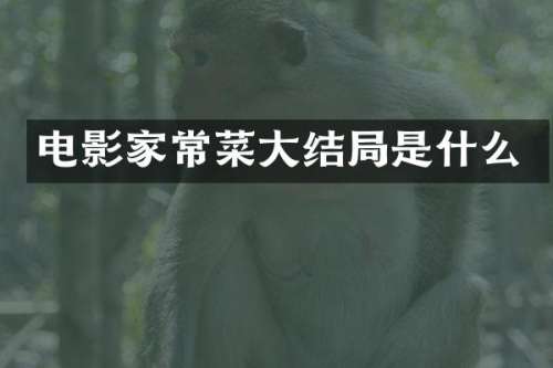电影家常菜大结局是什么