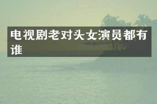电视剧老对头女演员都有谁