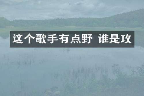 这个歌手有点野 谁是攻