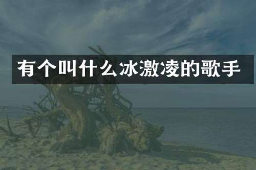 有个叫什么冰激凌的歌手