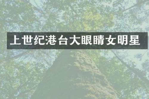 上世纪港台大眼睛女明星