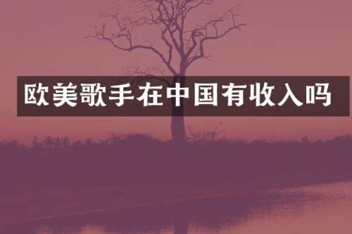 欧美歌手在中国有收入吗