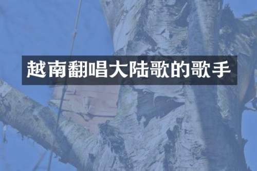 越南翻唱大陆歌的歌手