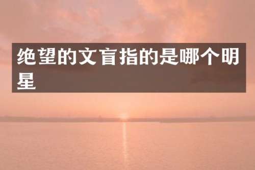绝望的文盲指的是哪个明星