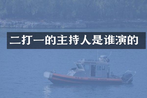 二打一的主持人是谁演的