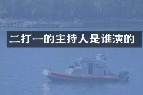 二打一的主持人是谁演的