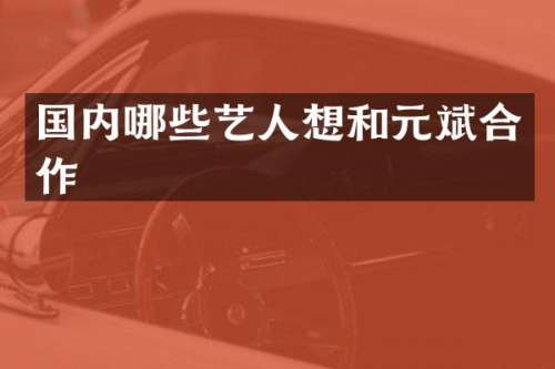 国内哪些艺人想和元斌合作