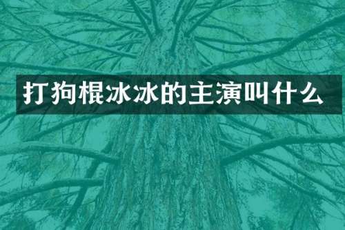 打狗棍冰冰的主演叫什么
