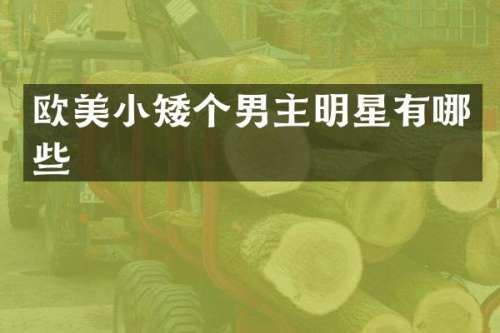 欧美小矮个男主明星有哪些