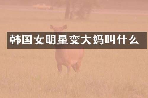 韩国女明星变大妈叫什么