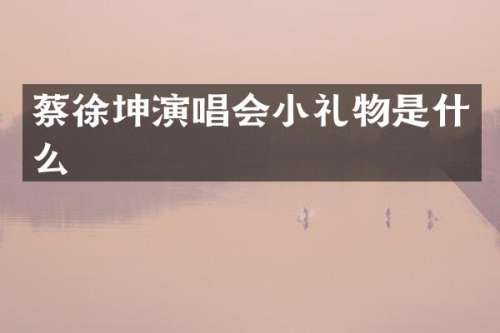 蔡徐坤演唱会小礼物是什么