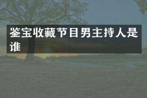 鉴宝收藏节目男主持人是谁