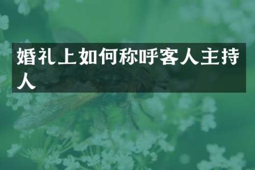 婚礼上如何称呼客人主持人