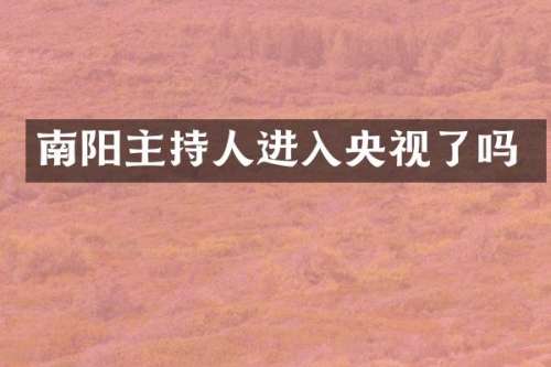 南阳主持人进入央视了吗