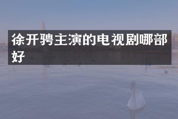 徐开骋主演的电视剧哪部好