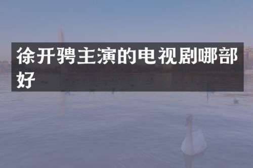 徐开骋主演的电视剧哪部好