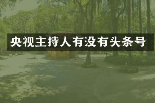 央视主持人有没有头条号