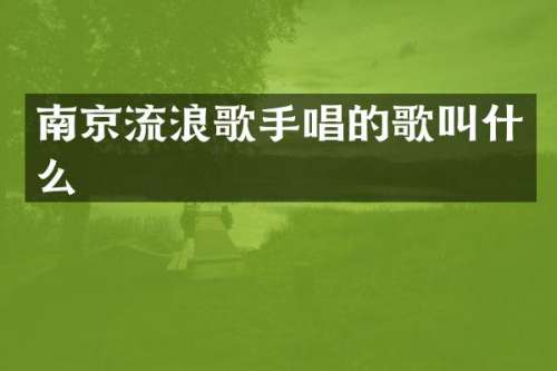 南京流浪歌手唱的歌叫什么
