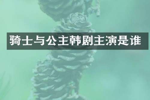 骑士与公主韩剧主演是谁