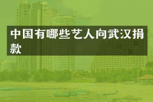 中国有哪些艺人向武汉捐款