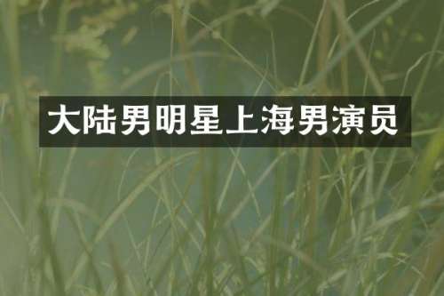 大陆男明星上海男演员