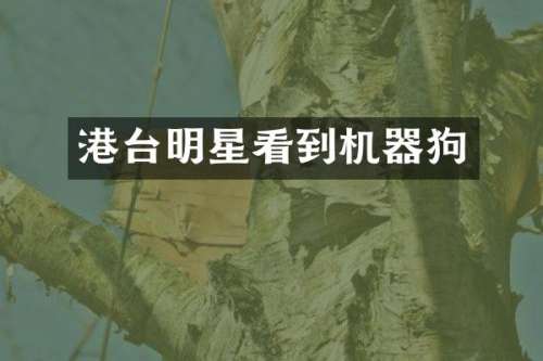 港台明星看到机器狗