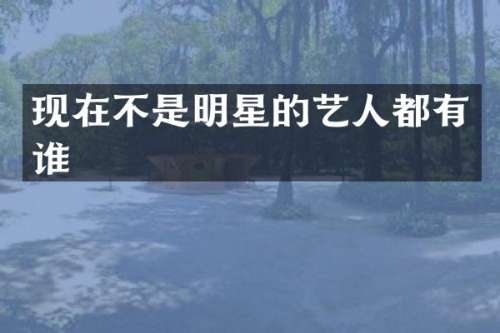 现在不是明星的艺人都有谁