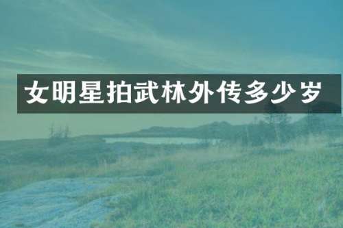 女明星拍武林外传