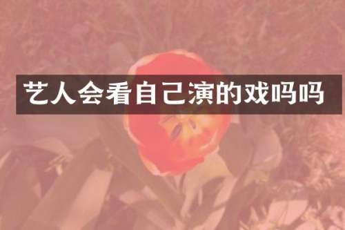 艺人会看自己演的戏吗吗