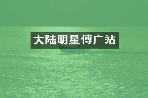 大陆明星傅广站