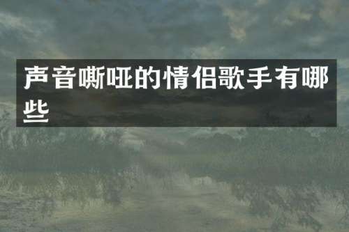 声音嘶哑的情侣歌手有哪些