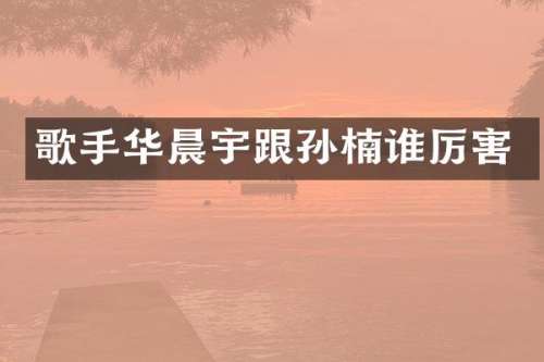 歌手华晨宇跟孙楠