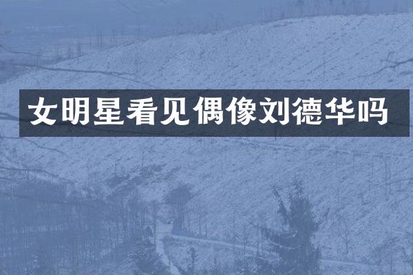 女明星看见偶像刘德华吗