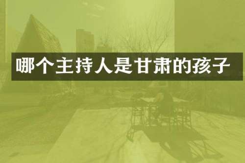 哪个主持人是甘肃的孩子
