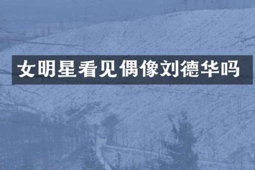 女明星看见偶像刘德华吗