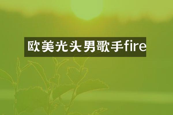 欧美光头男歌手fire